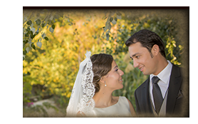 Bodas